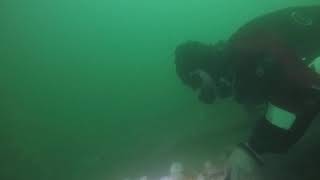 Diving under Llandudno Pier [upl. by Eidoc301]