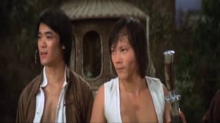 The Magnificent Ruffians 1979 Lo Meng vs Chiang Sheng [upl. by Ttirb]