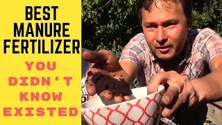 Best Organic Manure Fertilizer You Didnt Know Existed [upl. by Hamachi]