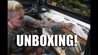 Getting my NEW fish in the MAIL Unboxing and Acclimating [upl. by Athena]