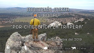 quotMONTERÍA MIXTA EL BONAL CON CINEGÉTICA LA TRAPERA quot Peñarroya  Pueblonuevo 8 de Diciembre 2019 [upl. by Anilesor]