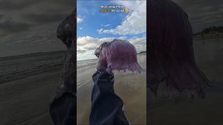 Rescue Mission Saved rare venomous Blue Jellyfish 🥺 [upl. by Idihsar]