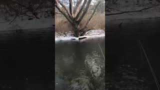 Wintertime Brown Trout Fly Fishing trout fishing troutunlimited gopro orvisflyfishing [upl. by Dimitri]