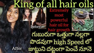 Bhringraj Hair Oil Miracle Hair Oil Reduce Grey Hair Guntagalagara Aaku Benefits [upl. by Afatsum]