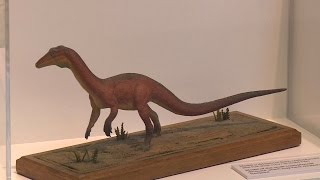 A new species of dinosaur has been found in Wales [upl. by Ereveniug]