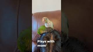 Play with moms hair [upl. by Claudette84]