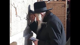 האדמוquotר מגור בכותל המערבי Gerer Rebbe davening At The Kosel In Connection With The Unrest In Europe [upl. by Chaffee]