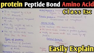 Proteins  Amino Acid Formula  Peptide Bond  Class 11 Biology UrduHindi [upl. by Dranal480]