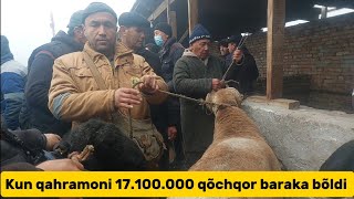 Beshariq qõy bozori bugungi narhlar bilan tanishing 17112024yil [upl. by Narayan460]