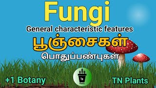 Fungiபூஞ்சைகள் [upl. by Oijimer]