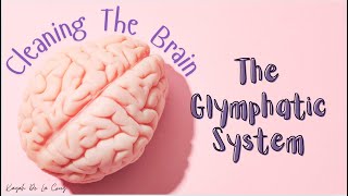 The Glymphatic System Breakthrough Junior Challenge [upl. by Notsla]