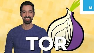 What is Tor and Should You Use It  Mashable Explains [upl. by Merill]