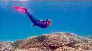 Bringing Back Coral Reefs with Madeleine Sherman [upl. by Ahsuatal]