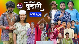 बुहारी भाग  १८१  BUHARI Episode 181  कथा चेलीकाे  Nepali Sentimental Serial  21st June 2024 [upl. by Streeter356]