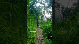 आपनी धुन में रहता हूँ 😌😎🏞️ travel shortfeed youtubeshort viralshorts trendingshorts [upl. by Greyso]