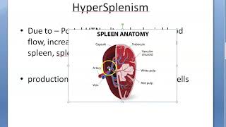 Medicine HyperSplenism Overactive spleen [upl. by Erdnaid]