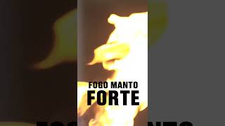 Corinhos  Fogo Manto Forte [upl. by Aissila]