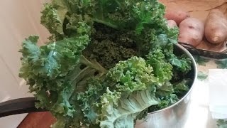 How To Eat Kale Without Removing the Stem [upl. by Cardwell]