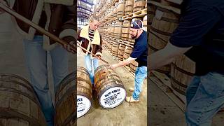 whiskey thieves thieving 101 whiskeybarrel whiskeythief bourbon stealing from bourbonbarrel [upl. by Hsakaa]