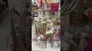 Christmas decor at TJmaxx christmasdecorationschristmastimechristmasspiritchristmasloversxmas [upl. by Kally]