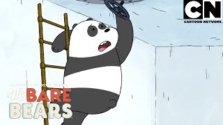 Conoce a Panda un oso con un gran corazón  Escandalosos  Cartoon Network [upl. by Yracaz]