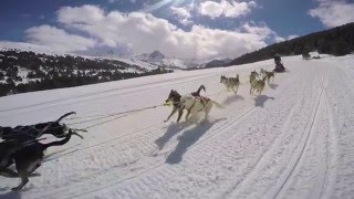 Grandvalira Mushing by GoPro  Activities Andorra 2016 [upl. by Luthanen]