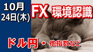 【TAKA FX】ドルの流れに変化あり！？ ドル円他各通貨の環境認識解説。各種指数、GOLDなど 10月24日木 [upl. by Leal]