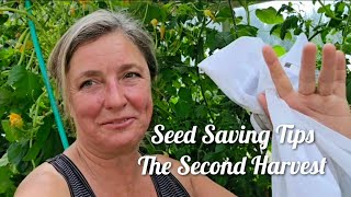 Seed Saving Tips  The Second Harvest gardening seeds seedsaving foodsovereignty greenhouse [upl. by Nerrol512]