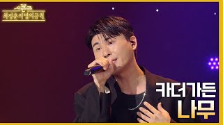 나무  카더가든 더 시즌즈최정훈의 밤의공원  KBS 230616 방송 [upl. by Ttennaej]