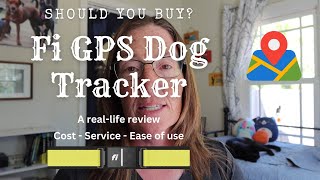 Should you buy the Fi GPS dog tracker [upl. by Theran]