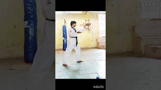 Advanced Taekwondo 11th form Taebaekbesttaekwondo taekwondoforms howtolearntaekwondo [upl. by Ahseinod604]