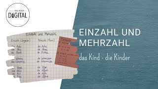 Einzahl und Mehrzahl  das solltest du dir merken [upl. by Fante]