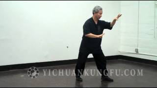 Yi Chuan Postures [upl. by Shae]