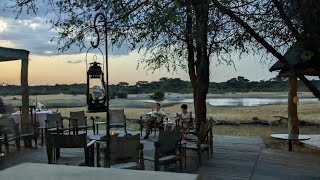 The Hide Hwange National Park Zimbabwe [upl. by Sumedocin]