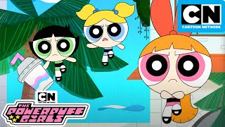 Powerpuff Girls on Vacation  New Powerpuff Girls Compilation  Cartoon Network [upl. by Neelie447]