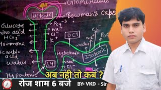 Human Anatomy and Physiology Lecture No 9 Topic mechanism of Urine formation explore ytviral [upl. by Athalla]