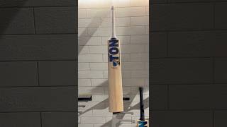 SS Ton Players 2000  Cricket Bat  Cricket cricket englishwillowbat [upl. by Tra543]