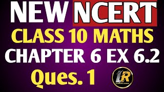 Maths class 10 chapter 6  exercise 62 ques 1  Triangles  new ncert book [upl. by Aitnyc]