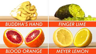 Trying Every Type Of Citrus  The Big Guide  Epicurious [upl. by Weight]