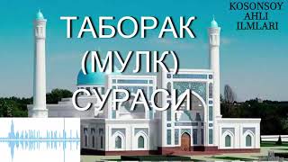 МУЛК СУРАСИ  MULK SURASI  TABORAK  ТАБОРАК [upl. by Odo545]