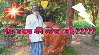 গরু চাষে কী লাভ নেই  আলোচনা video cow [upl. by Ontine]