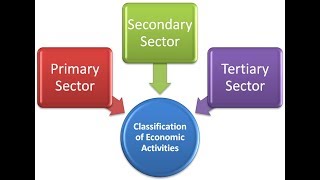 Sectors of Economy  Primary Secondary Tertiary Quaternary Quinary [upl. by Ilahtan677]