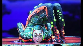 Contortion Solo Act  TOTEM by Cirque du Soleil  Mongolian Contortionist Oyuna Senge [upl. by Aniuqaoj]