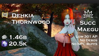 BDO  Dehkia Thornwood 205k L2  Succession Maegu 301 AP [upl. by Consuelo329]