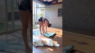 Malaika Arora exercise video exercisevideothesystem [upl. by Orson458]