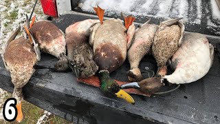 Fun MIXED BAG Duck Hunt in the Snow  Duck Hunting 2023 [upl. by Aisinoid]