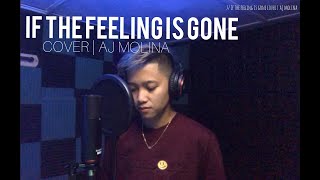 If The Feeling Is Gone By Kyla Cover  AJ Molina [upl. by Neimad]