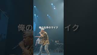 CHICO CARLITO vs KIKUMARU shorts ショート [upl. by Eeimaj]