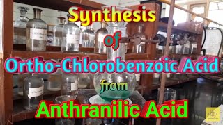 Synthesis of OrthoChlorobenzoic Acid from Anthranilic acid [upl. by Enehs]