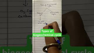 types of biogeochemical cycle viral ytshorts viralshort biology [upl. by Marlo]